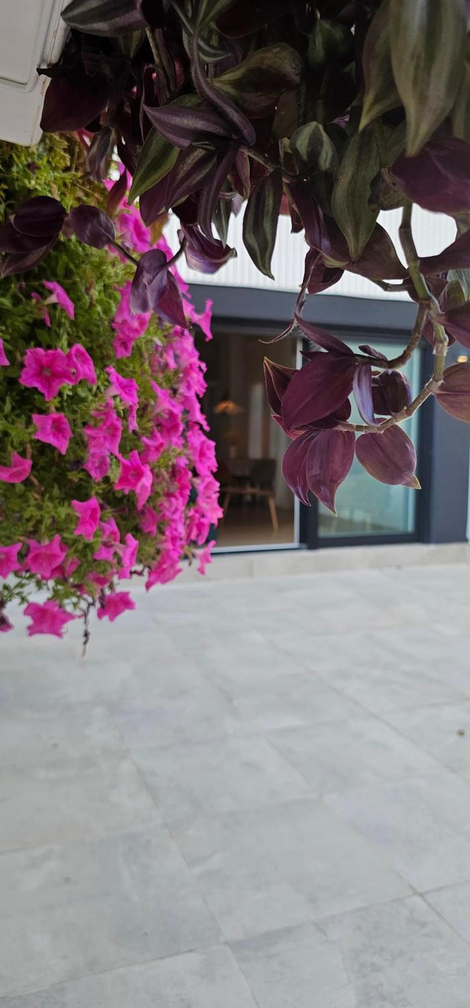 Appartamento Albayda Garden Granada Esterno foto